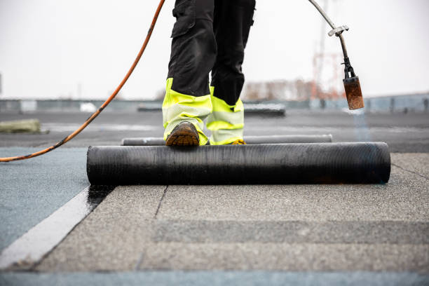 Best Metal Roofing Installation  in New Brighton, MN